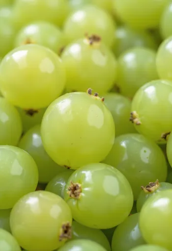 Свежие ягоды зеленого и красного крыжовника на столе