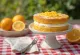 Бисквитный торт с апельсином и свежими дольками апельсина